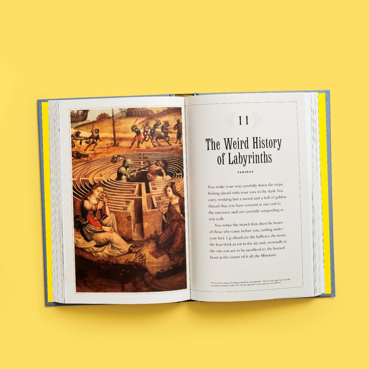 THE SECRET LIFE OF HIDDEN PLACES - out now — Stefan Bachmann